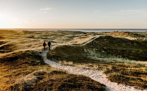 Denmark’s 6 Giant Trolls — Private Experience