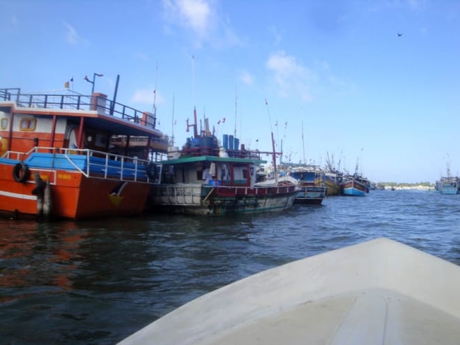 Muthurajawela Sanctuary Boat Safari with Bird Watching 6