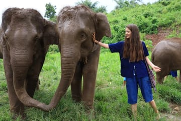 Half-Day Afternoon Elephant Sanctuary Program in Chiang Mai