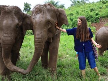 Half-Day Afternoon Elephant Sanctuary Program in Chiang Mai