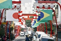 6-Hour Classic Half-Day Private Tour of São Paulo – Optional Airport Pickup  8