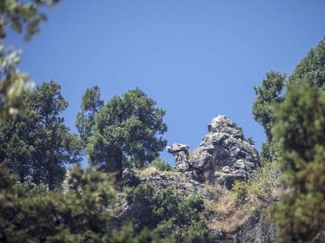 Private Day Trip from Dehradun to Mussoorie with Scenic Views