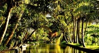 Classic Kerala - Tea Gardens To Backwaters & Beach! 5