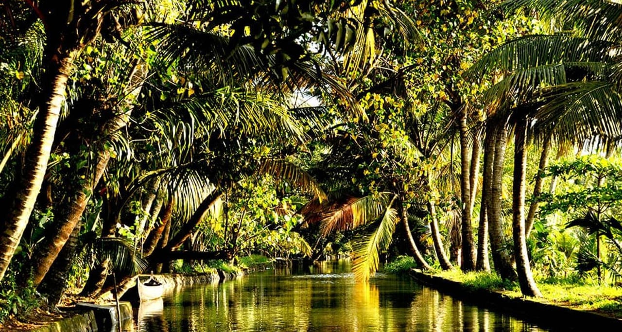 Classic Kerala - Tea Gardens To Backwaters & Beach! 5