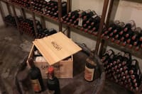 Exclusive Private Carmignano Experience: The First Cabernet Sauvignon in Tuscany 4