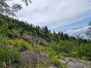 Bali: Mount Agung Hiking Tour 4
