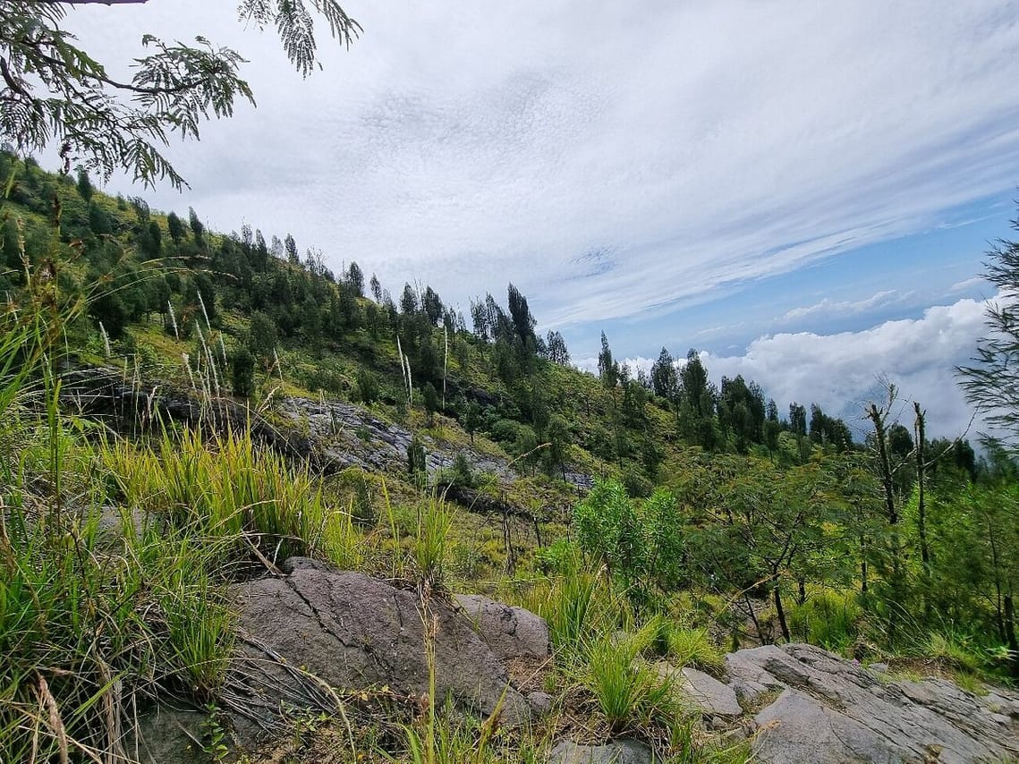 Bali: Mount Agung Hiking Tour 4