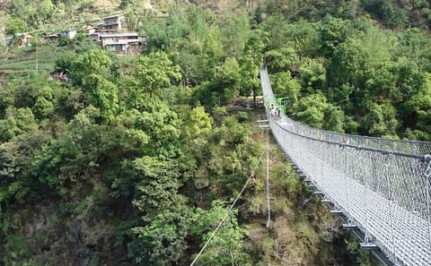 11-Day Mountain Biking and Jungle Safari in Nepal