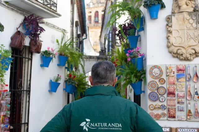 Cordoba and the Mosque Day Trip from Seville photo 5