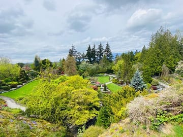 Cultural Highlights Tour of Vancouver in 2 Hours