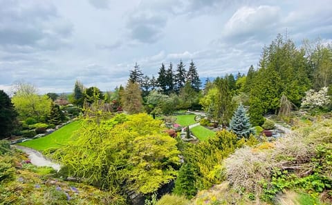 Cultural Highlights Tour of Vancouver in 2 Hours