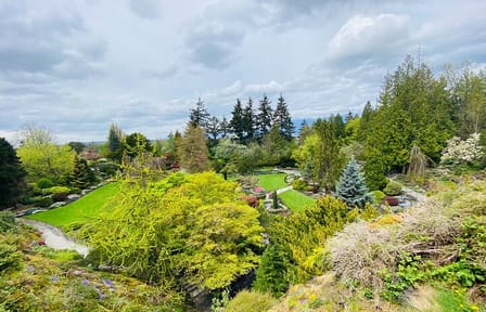 Cultural Highlights Tour of Vancouver in 2 Hours