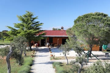 Private Culinary Tour of Nin and Royal Vineyards from Zadar