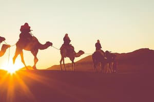 Sunset or Sunrise Camel ride in the Sahara Desert of Douz