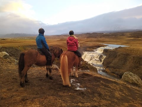 Chasing Waterfalls, photo 4