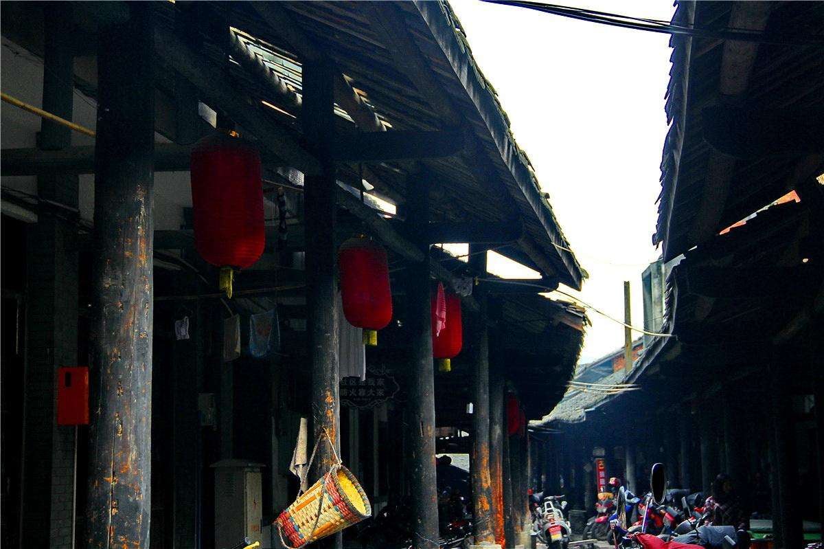 Private Day Trip: Chengdu to Leshan and Luocheng by Train  4