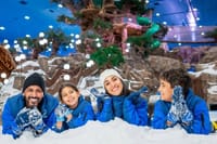 Abu Dhabi Snow Admission Ticket 1