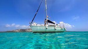 Full day excursion on a sailboat to Asinara from Stintino