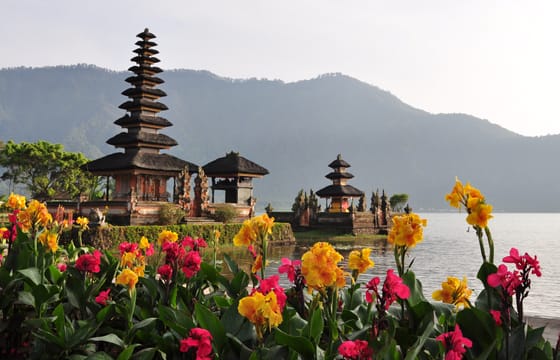 Jatiluwih : Spiritual Journey of Melukat with Rice Terrace View