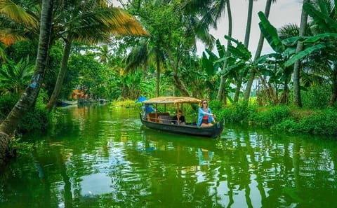 Cochin to Alleppey Backwaters Tour with Overnight Stay