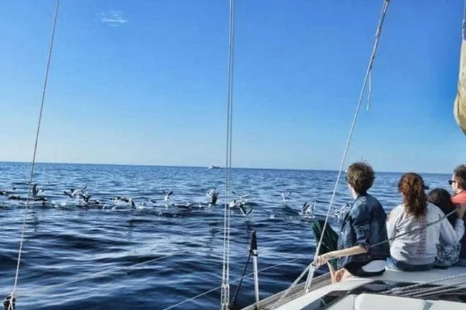 Premium Yacht Private Charter 4