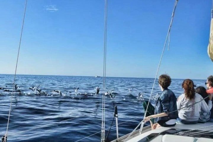 Premium Yacht Private Charter 4