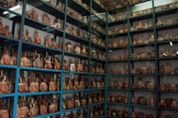 Lima City Tour and Larco Museum 4