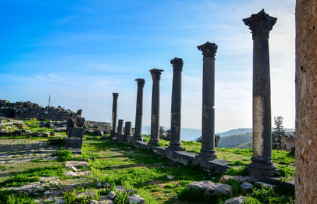 Private Cultural Tour of Umm Qais from the Dead Sea