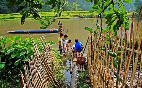 Half-Day Guided Boat Tour of Ba Be Lake in Vietnam