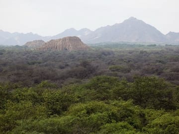 Pomac Forest Sanctuary and Sican Museum Tour in Chiclayo