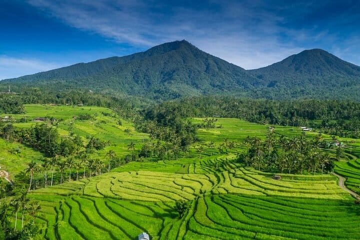 Full-Day Trip UNESCO Rice Terrace, Water Temple & Tanah Lot 9