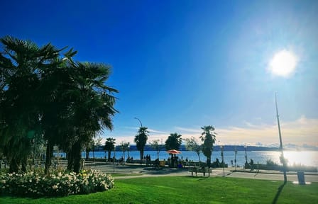 Private Vancouver City Amazing Highlight Tour With Chinese Garden