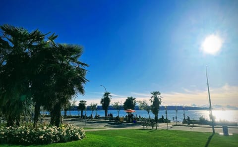 Private Vancouver City Tour with Chinese Garden Visit