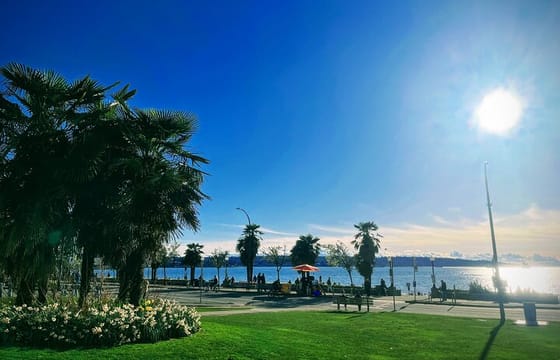 Private Vancouver City Amazing Highlight Tour With Chinese Garden