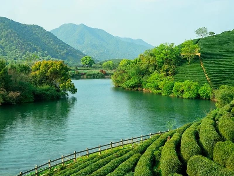 Shenzhen: Huizhou Xiantaigang Beaches Private Trip