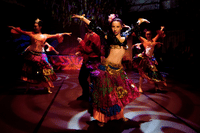 Istanbul: Turkish Dance Show at Hodjapasha Cultural Centre 3