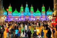 Dubai Frame, Miracle Garden, Global Village Best Dubai Combo 8