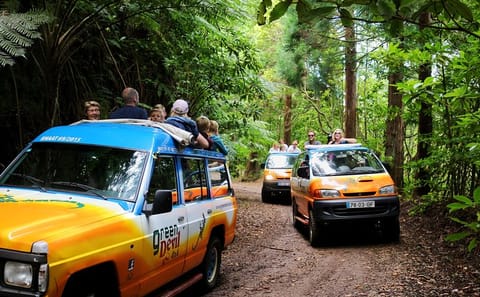 East Madeira Peaks and Santana Shore Excursion Tour