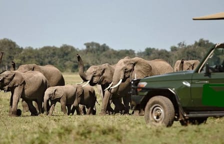 8-Day Wildlife Safari Adventure in Kenya's Laikipia County