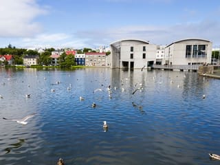Private  Reykjavik City Tour, photo 6