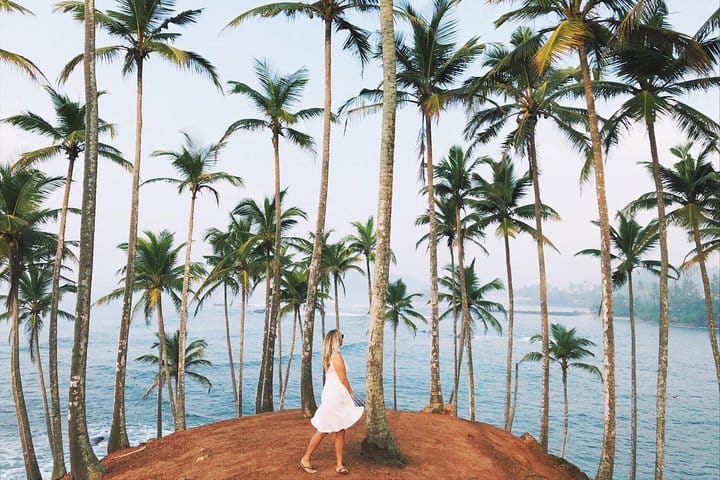 Coconut Hill Mirissa