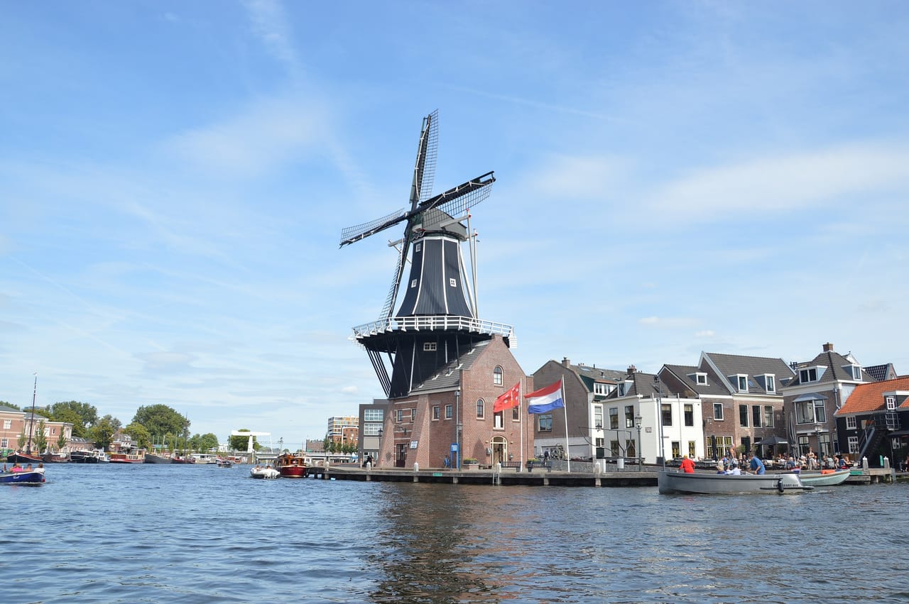 Haarlem in 1 Day - Walking Tour - Audioguide in 7 languages 2