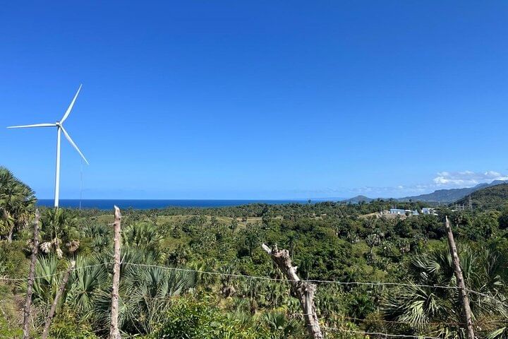 Damajagua Waterfalls and Monkey Private Van Tour