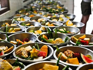 Food for all animal