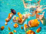 Bali: Padangbai Blue Lagoon Snorkeling Day Trip 3