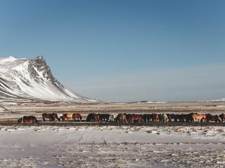 Snæfellsnes Peninsula in a small group tour with home-cooked meal included, photo 12