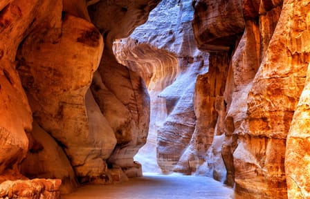 Petra Day Tour from Amman with Guided Exploration