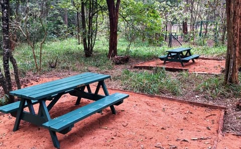 Karura Forest Bike and Walking Tour in Nairobi