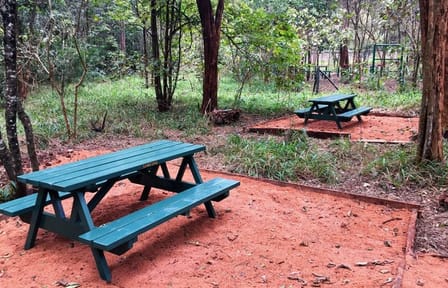 Karura Forest Bike and Walking Tour in Nairobi