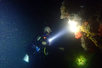 Scuba Diving at night in Mirissa